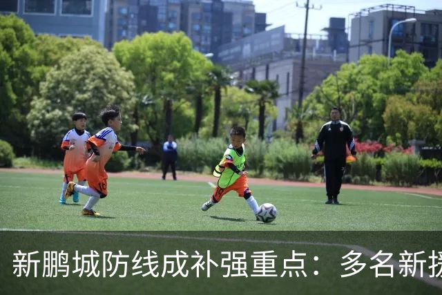 新鹏城防线成补强重点：多名新援亮相 姜至鹏完成体检